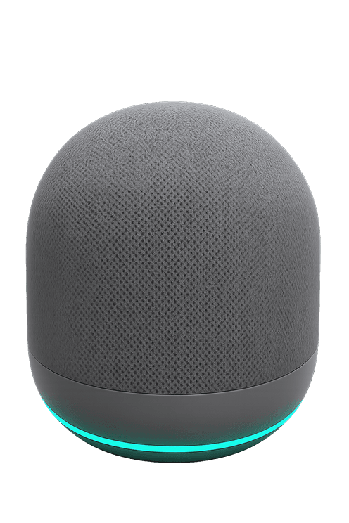 Smart speaker gray